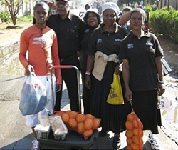 feedingscheme
